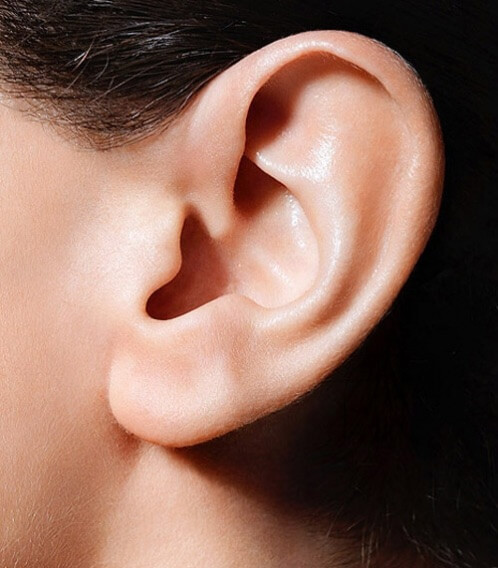 耳の画像